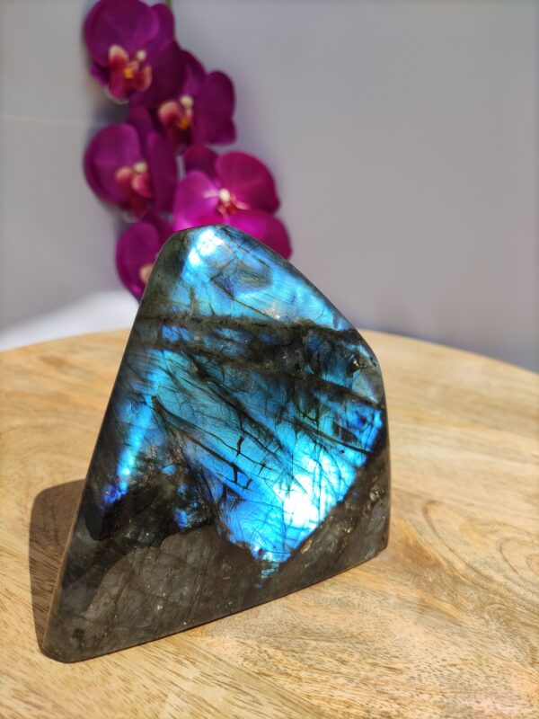 Labradorite 1_ LAmeEthisme86