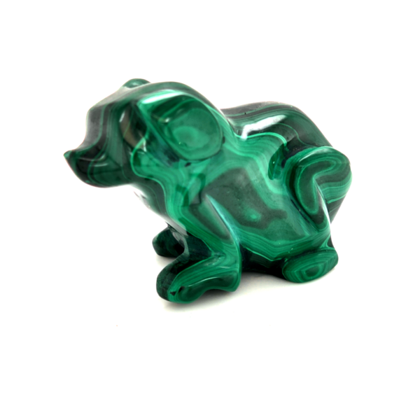 Chien malachite 1_LAmeEthisme86