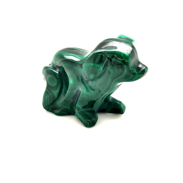 Chien malachite 1_LAmeEthisme86