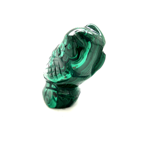 Chouette malachite 1_ LAmeEthisme86