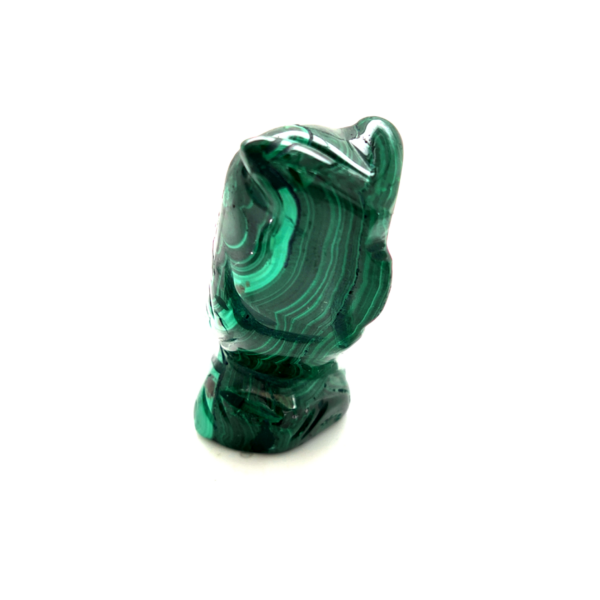 Chouette malachite 1_LAmeEthisme86