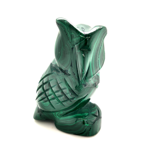 Chouette malachite 2_LAmeEthisme86