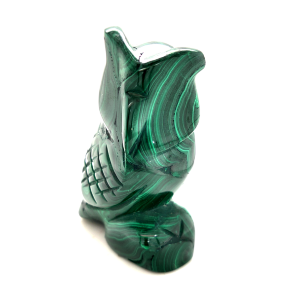 Chouette malachite 2_LAmeEthisme86