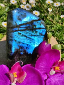 FORMES LIBRES_LAmeEthisme86