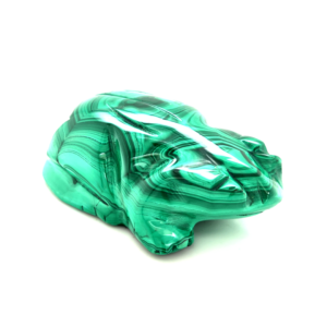 Grenouille malachite 1_ LAmeEthisme86