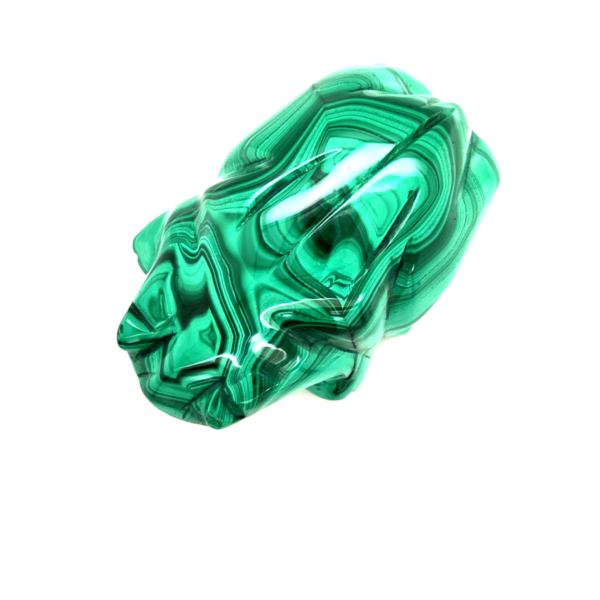 Grenouille malachite 1_LAmeEthisme86