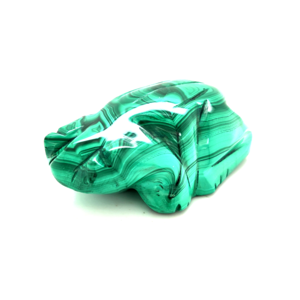 Grenouille malachite 1_LAmeEthisme86