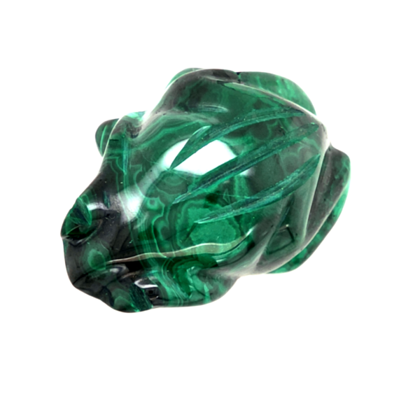 Grenouille malachite 2_ LAmeEthisme86