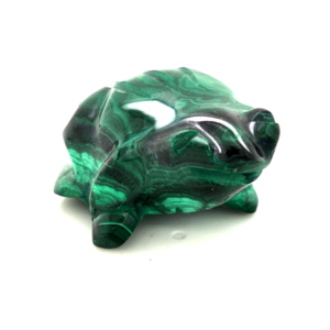 Grenouille malachite 2_LAmeEthisme86