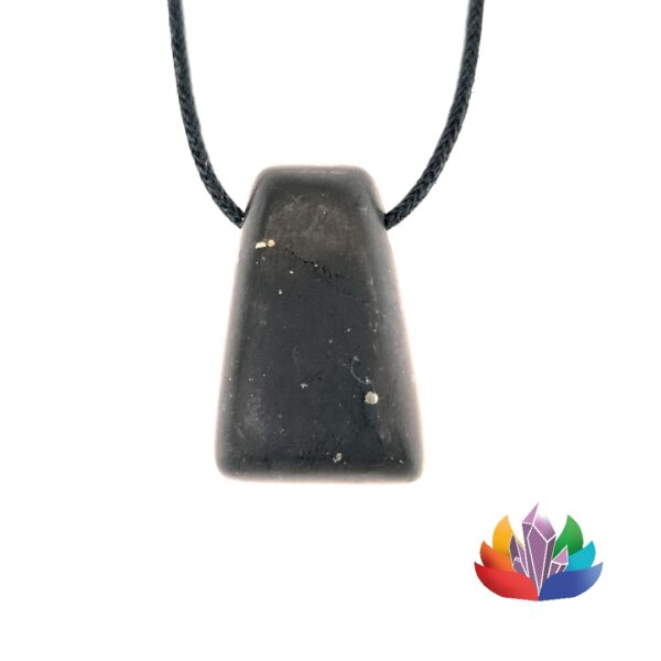 Pendentif Hématite Foré (Copie) - PF foré Shungite_LAmeEthisme86