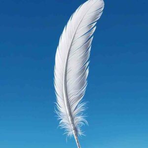 LE TAURACLE MORGANN ART WORK - avant boitier